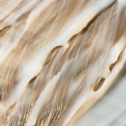 Après-shampoing vegan bio