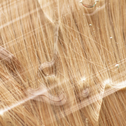 Shampoing vegan bio bybloss